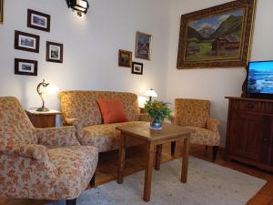 a living room with couches and a table and a tv at Apartments Stegmühle in Mauterndorf
