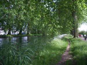 a path next to a river with trees and grass at Chambre d'hôtes Au Canal in Illkirch-Graffenstaden