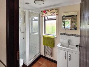 a bathroom with a shower and a sink at Fuschia Chalet in Framlingham
