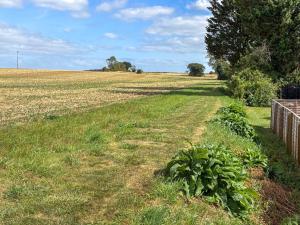 a field with a fence and some plants in the grass at Fuschia Chalet in Framlingham