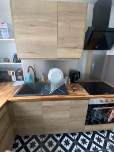 eine Küche mit Spüle und Arbeitsplatte in der Unterkunft Appartement agréable Orleans centre-ville in Orléans + 15 Fotos