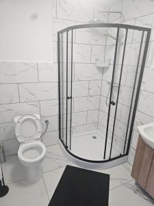 a bathroom with a shower and a toilet and a sink at MAR-VIT Apartamenty in Przemyśl