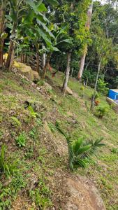 Zahrada ubytování Tierra Bendita