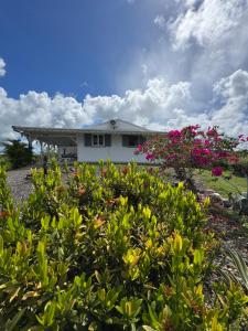 a house with flowers in front of it at Maison Canne à Sucre in Grande Anse +7 photos