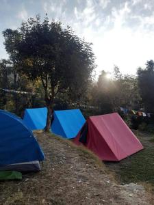 a group of tents on a hill with a tree at Himachal Adventure in Dharamshala