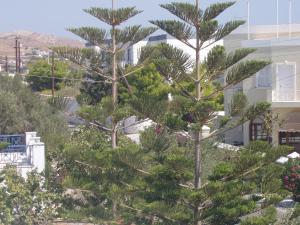 Γενική θέα στο βουνό ή θέα στο βουνό από  αυτό το ξενοδοχείο διαμερισμάτων