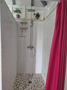 La salle de bains est pourvue d'une douche avec rideau de douche rose. dans l'établissement Fleur d'Hibiscus, à Saint-Louis
