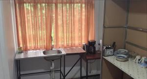 ビハグアにあるMountain Retreat in Bijagua de Upala with Stunning Nature Viewsのキッチン(シンク付)、窓(オレンジ色のカーテン付)