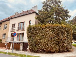 a large bush in front of a house at Apartmán VALORI - 100m2 in Poděbrady