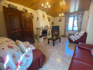 a living room with a couch and a fireplace at Gîte à Luc in Mandailles