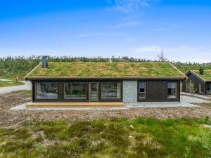 a house with a grass roof on top of it at Sentralt plassert hytte, alt i gangavstand in Flå