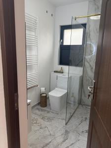 a bathroom with a toilet and a glass shower at Cabana MBM in Baia-Sprie +22 photos