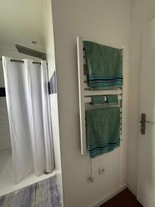 a bathroom with a shower and green towels at Maison cosy à Meaulne-Vitray avec jardin in Meaulne +16 photos