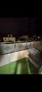 a balcony with a chair and a green rug at Haus Harmonie in Freilassing