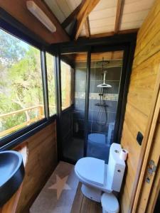 a small bathroom with a toilet and a sink at Studio cosy à La Plaine-des-Palmistes, 18 m², jardin in Bras des Calumets