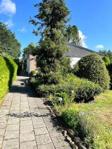 a tree is standing next to a sidewalk at detached bungalow, 5 beds wifi smart tv terras 3 parkings keybox in Emlichheim