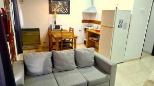 a living room with a couch and a refrigerator at departamento por dia ruta 41 3 in Los Antiguos