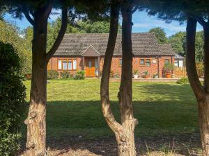 a house in the middle of a yard with trees at Dippers in Smallburgh +15 photos