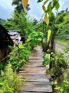 Příroda nedaleko ubytování v soukromí