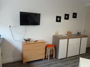 TV a/nebo společenská místnost v ubytování Beau studio rez de chaussée + 13 fotografií
