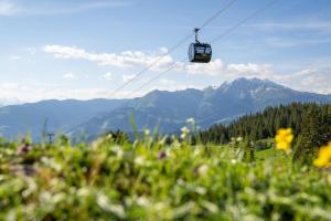 a gondola flying over a mountain with flowers at LAAX Homes - Maighels 8-9 in Laax-Murschetg