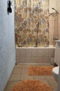 a bathroom with a shower curtain and a toilet at EBU 28 in Rīga