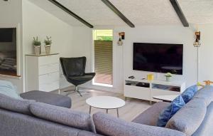 Una sala de estar con un sofá y un televisor en Nice Home In Hadsund With 2 Bedrooms, en Hadsund