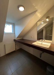a bathroom with a sink and a mirror at Modern holiday home 5 rooms in Durbuy