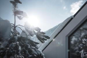 a view of a snow covered mountain with a palm tree at MYALPS Tirol inklusive Sky- Wellness in Oetz