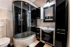 Un baño con ducha, inodoro y lavabo. en Apartament Europa, en Kruszyn