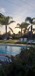 a group of lounge chairs next to a pool with palm trees at Vigna delle Rose in Trecase