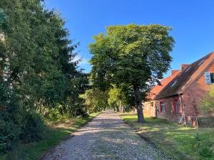 a tree on a dirt road next to a house at Forsthaus Barsdorf in Fürstenberg +18 photos