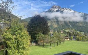 un campo con árboles y una montaña en el fondo en Haus Schartner Aloisia, en Altaussee 23 fotos más