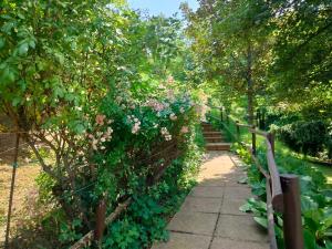 Κήπος έξω από το Villa Amabel