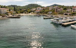 a group of boats docked at a dock on a river at Beautiful Apartment In Lukoran With Wifi in Lukoran