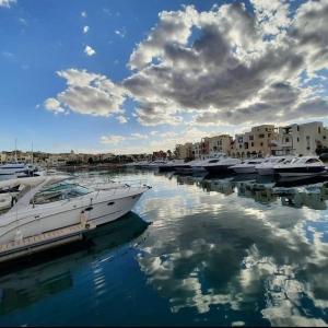 Gallery image of منتجع تالابيه العقبة in Aqaba