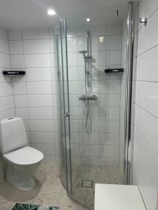 a bathroom with a shower and a toilet at Apartment in beautiful area Edsviken, close to Stockholm in Sollentuna +10 photos