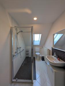 a attic bathroom with a shower and a sink at FeWo Luzia in Losheim