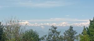 Příroda nedaleko kempu + 184 fotografií