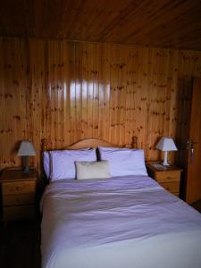 ドゥーリンにあるDoolin Houseの木製の壁のベッドルーム1室(大型ベッド1台付)