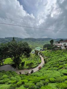 Příroda nedaleko chaty