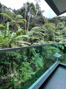 Φωτογραφία από το άλμπουμ του Cameronian Lodge by AziziCameron σε Tanah Rata +19 φωτογραφίες