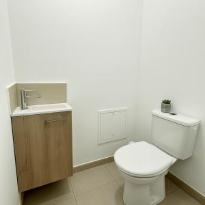 ein Badezimmer mit Toilette und Waschbecken in der Unterkunft Spacieux 3 chambres et lumineux à Montrouge in Malakoff