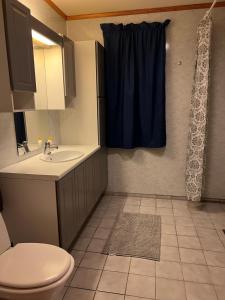 Koupelna v ubytování Det vesle huset på Lysåker