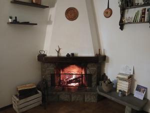 a fireplace in a living room with a fire at La Lissandra Agriturismo House in Palagano