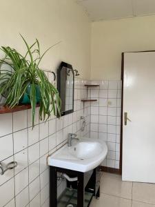 Koupelna v ubytování Inkindi House