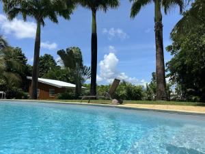 a swimming pool with palm trees in the background at Sanoa lodge - Bungalow Climatisé in Roussel