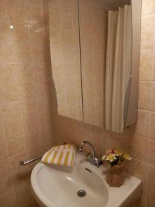 a bathroom with a sink with a mirror and a shower at Rheinapartment Dependance 8 in Bad Hönningen