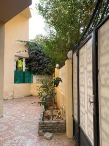 Κήπος έξω από το كمبوند الربوة هايتس