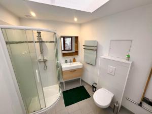 a bathroom with a shower and a toilet and a sink at Charmant T2 en RDC Centre Douai Netflix in Douai +11 photos